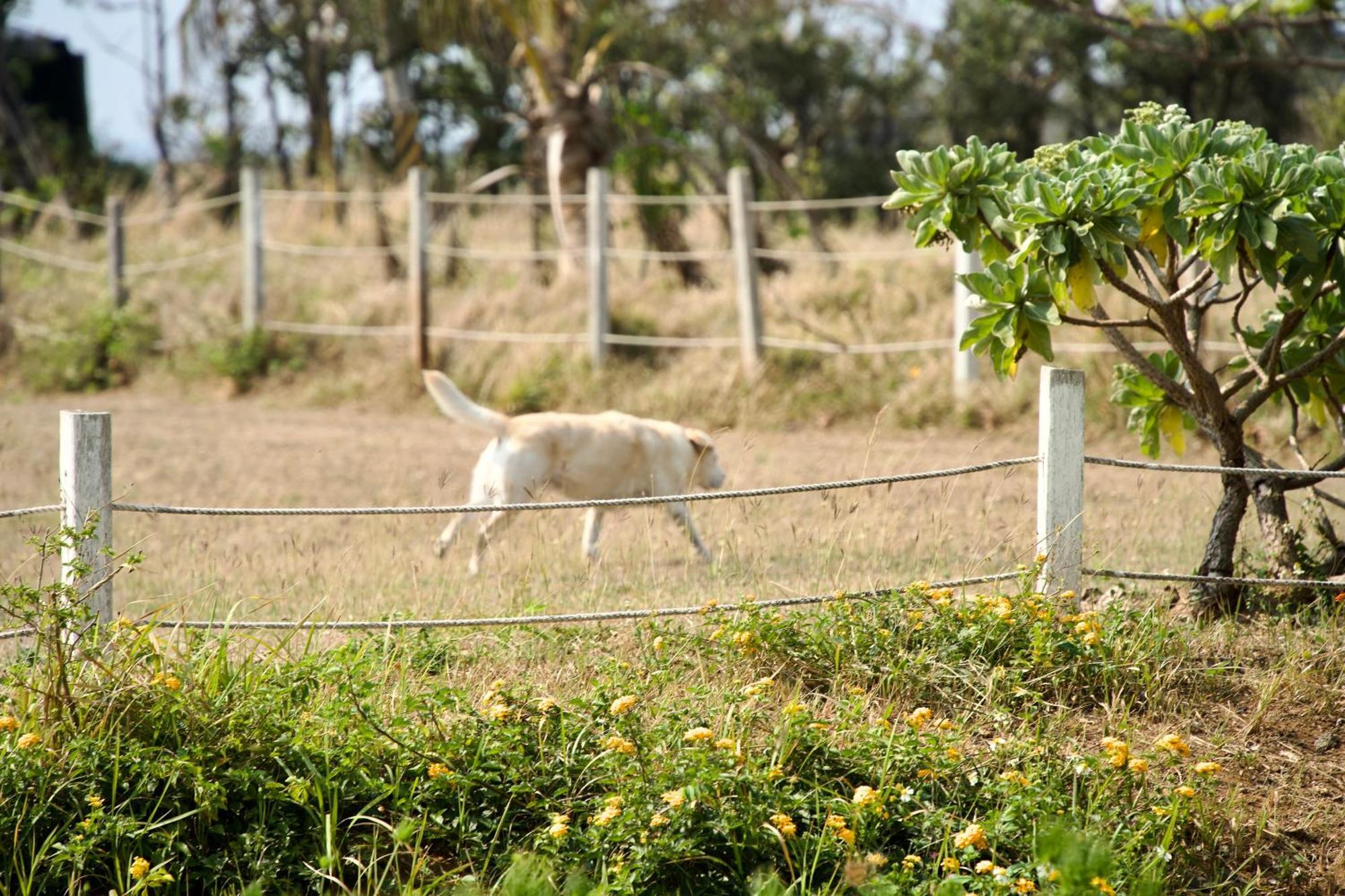 Kenting Comic B&B&Spring Heng-ch'un Exteriör bild