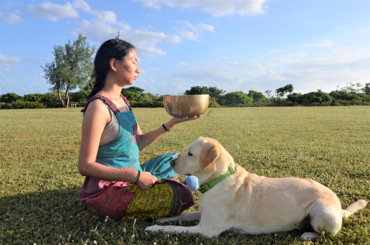 Kenting Comic B&B&Spring Heng-ch'un Exteriör bild